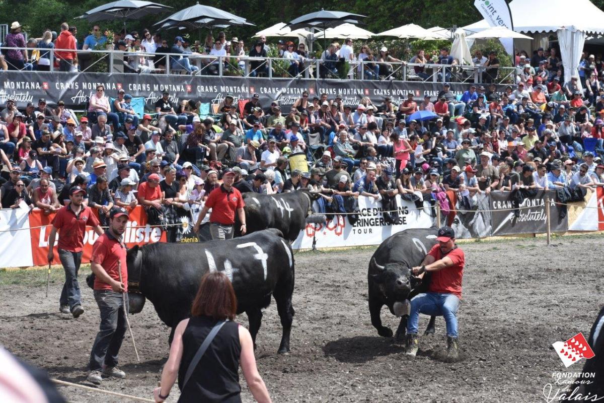 finale1420