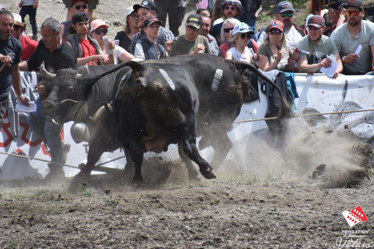 finale1426