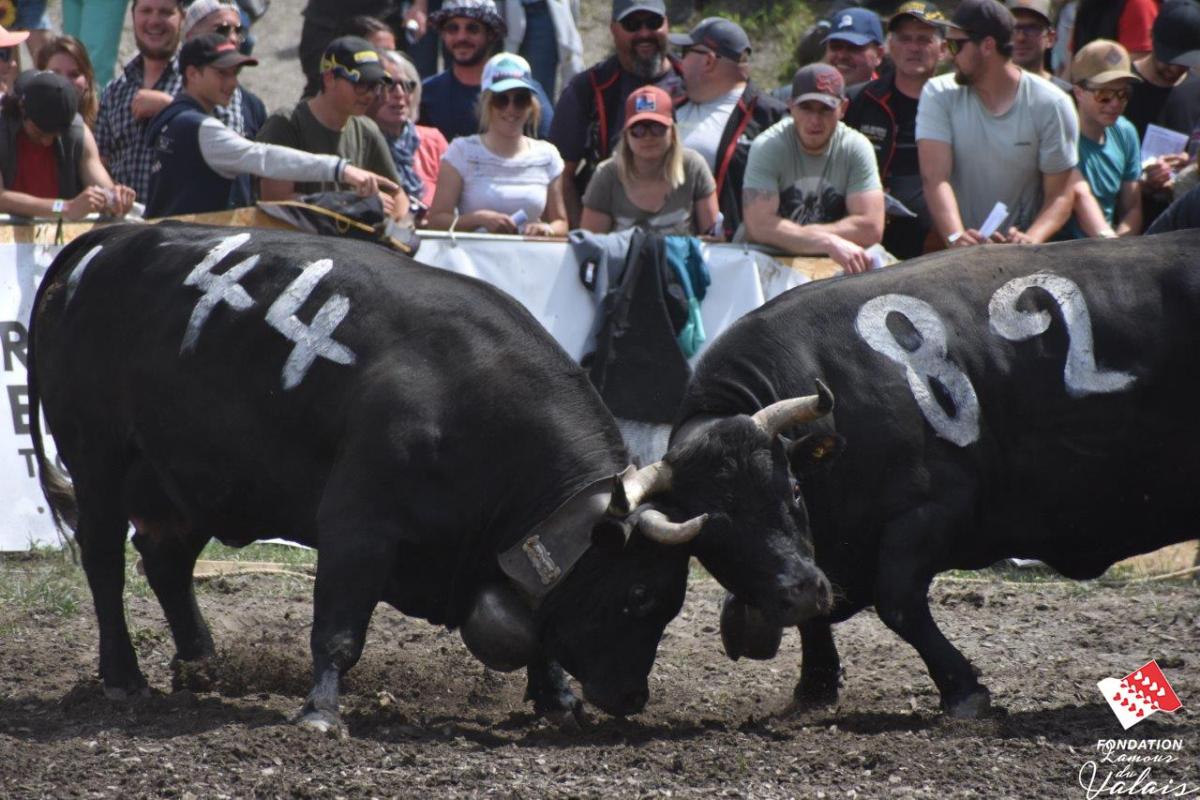 finale1435