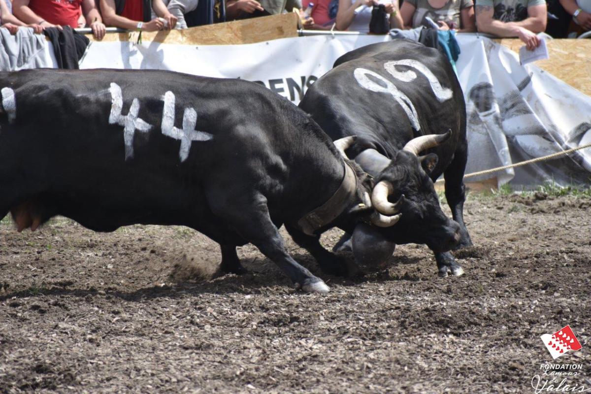 finale1437