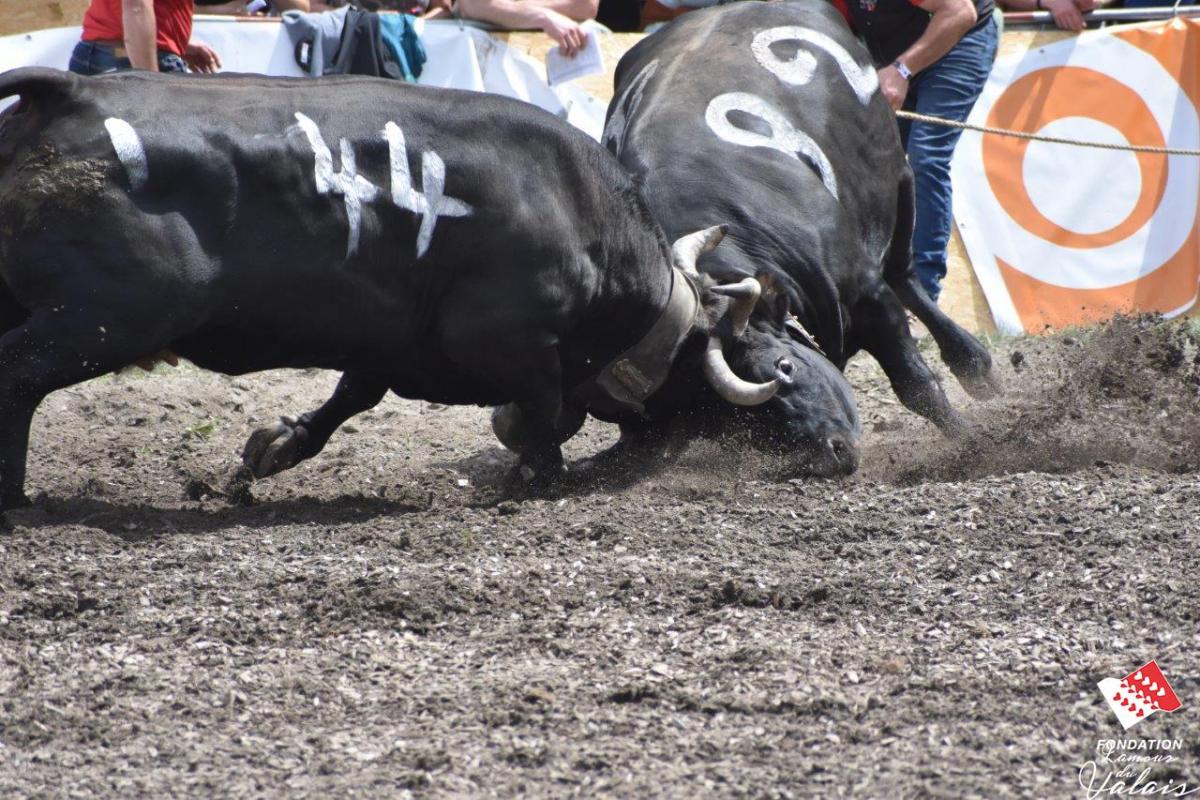 finale1439