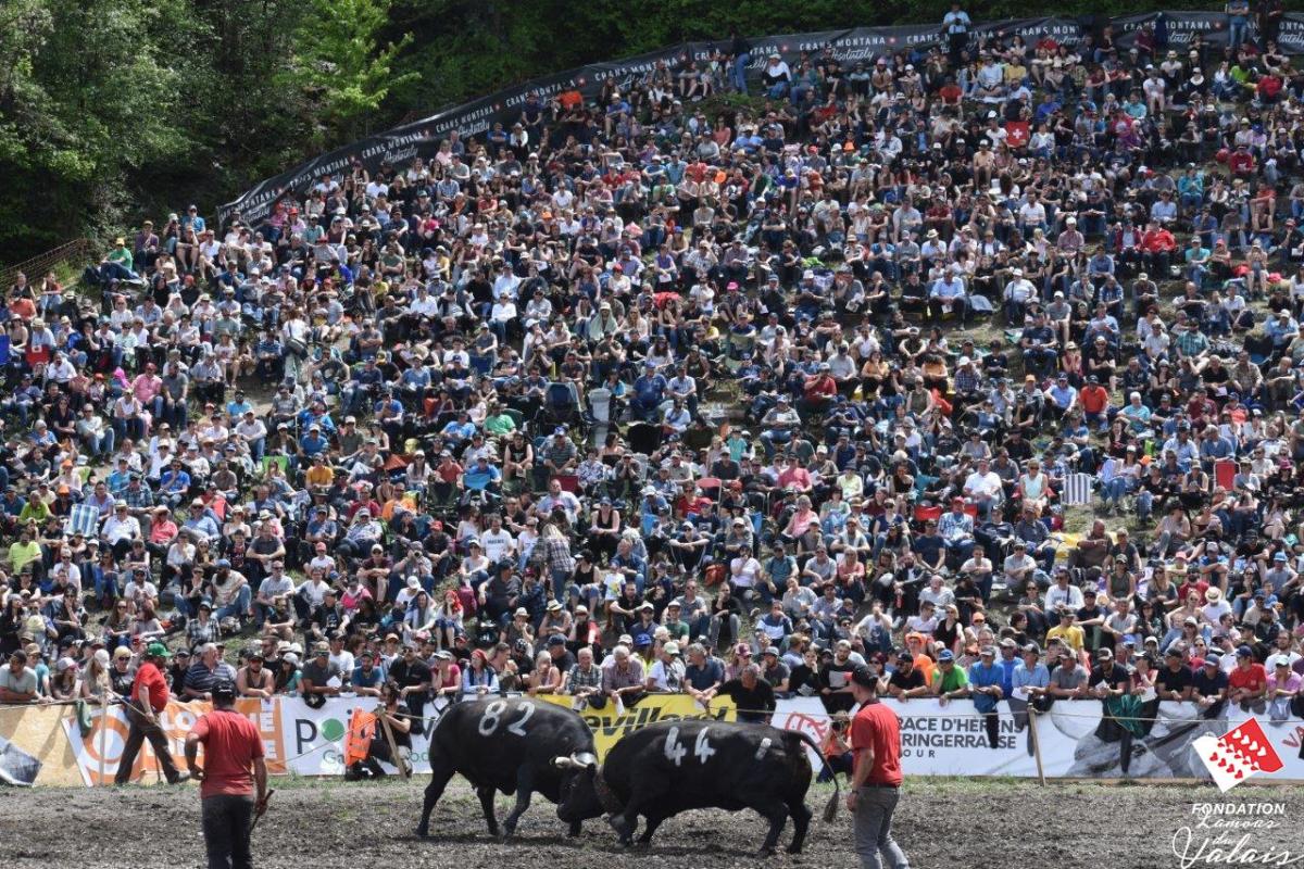 finale1445