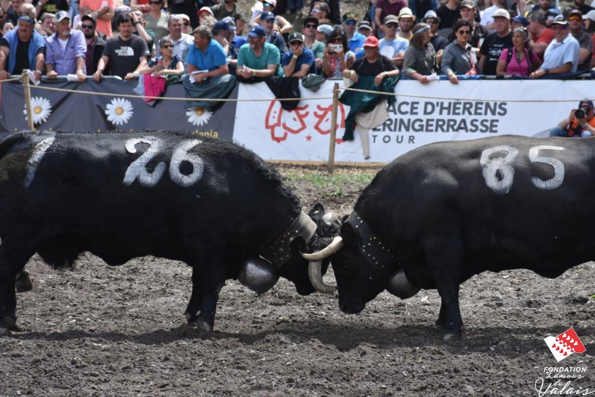 finale1468