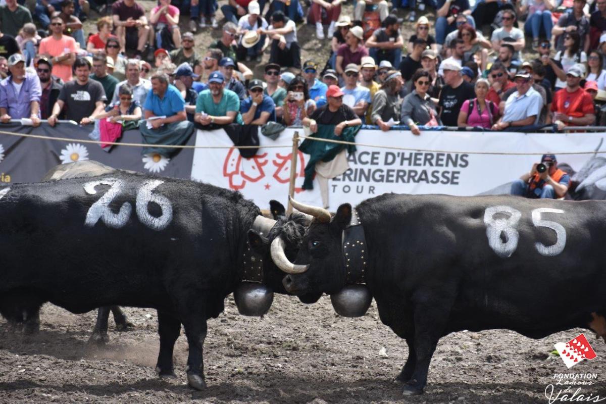 finale1469