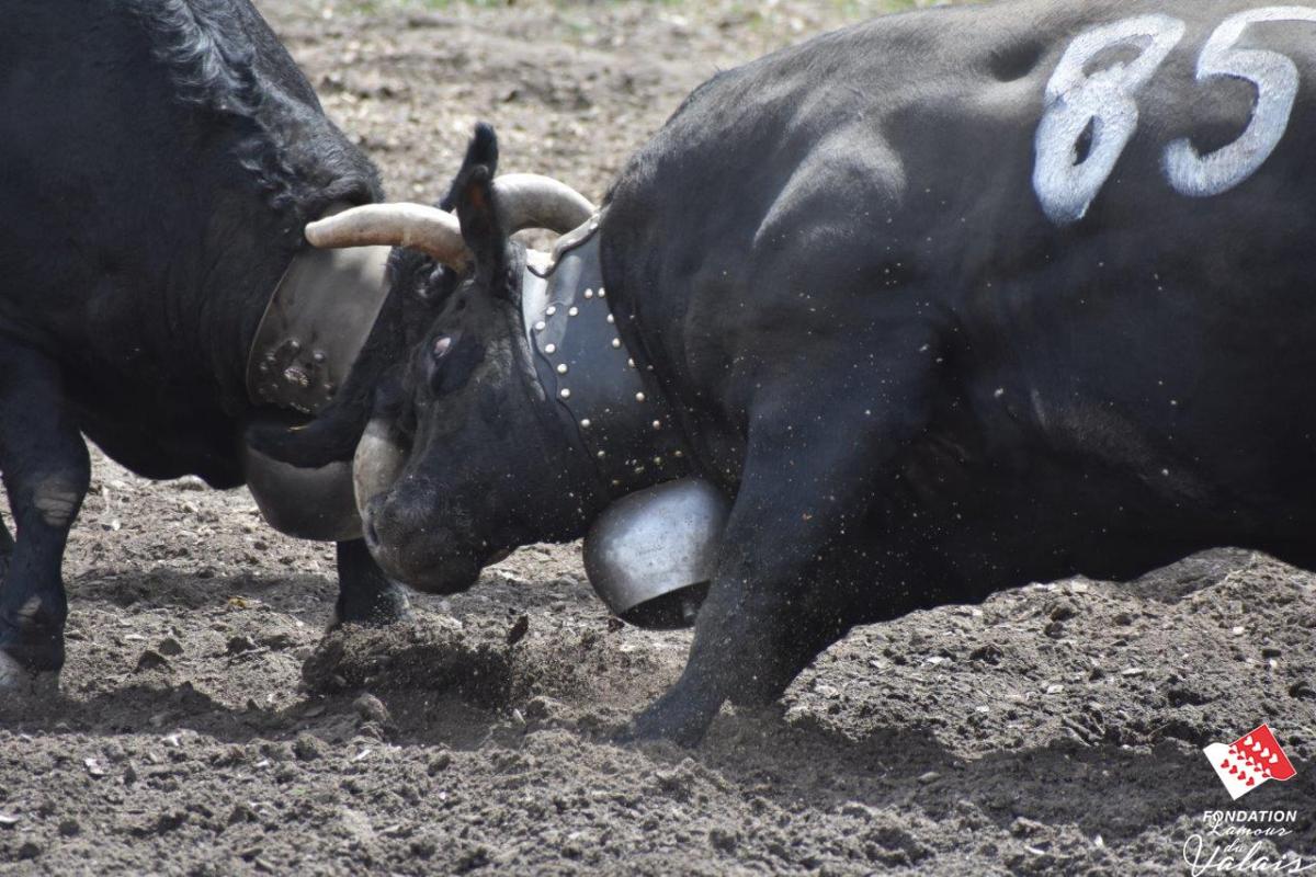 finale1470