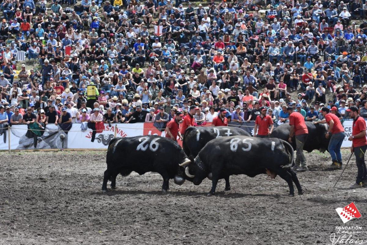 finale1476