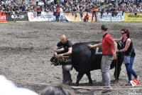 finale1477