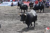 finale1410