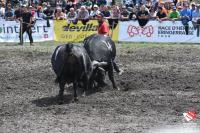 finale1415