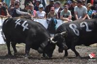 finale1435