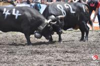 finale1436