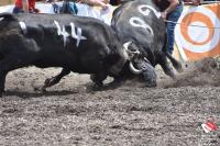 finale1439