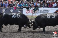 finale1468
