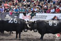 finale1469