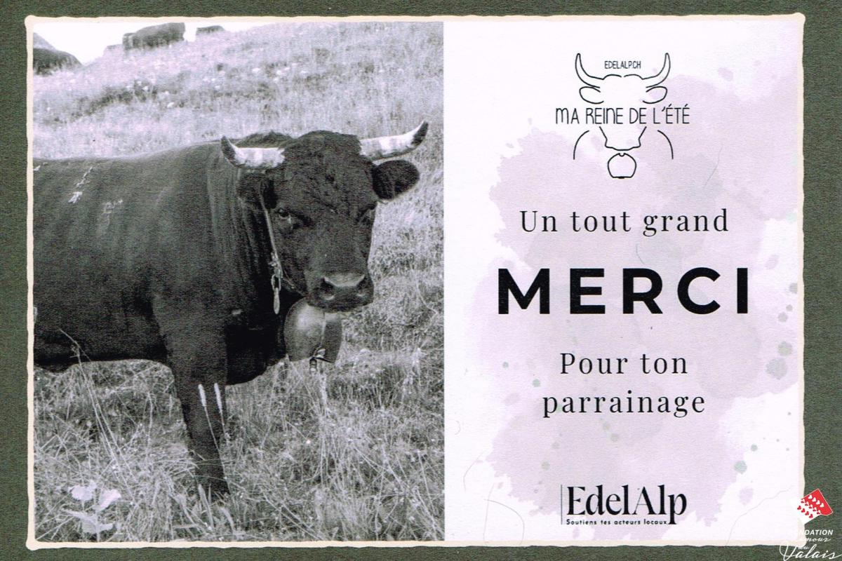 merci-01