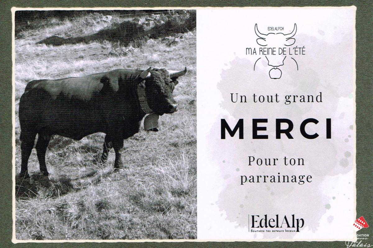 merci-02