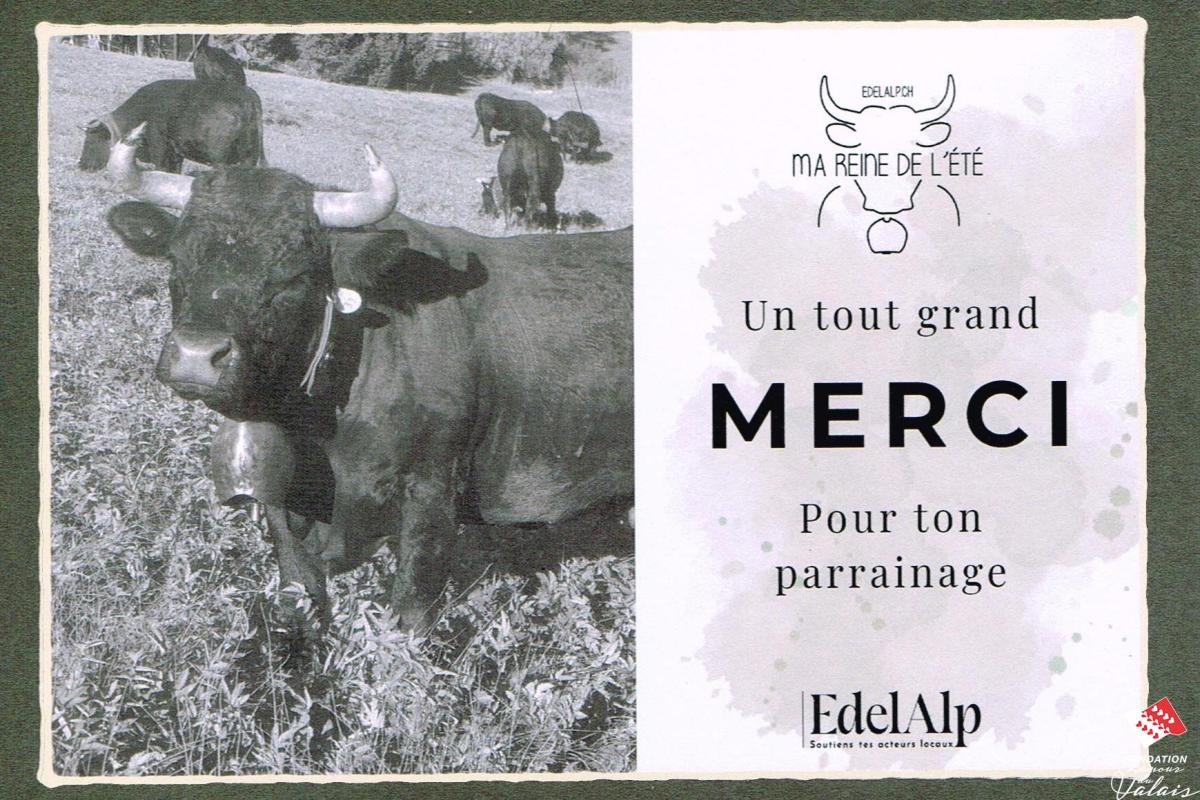 merci-03