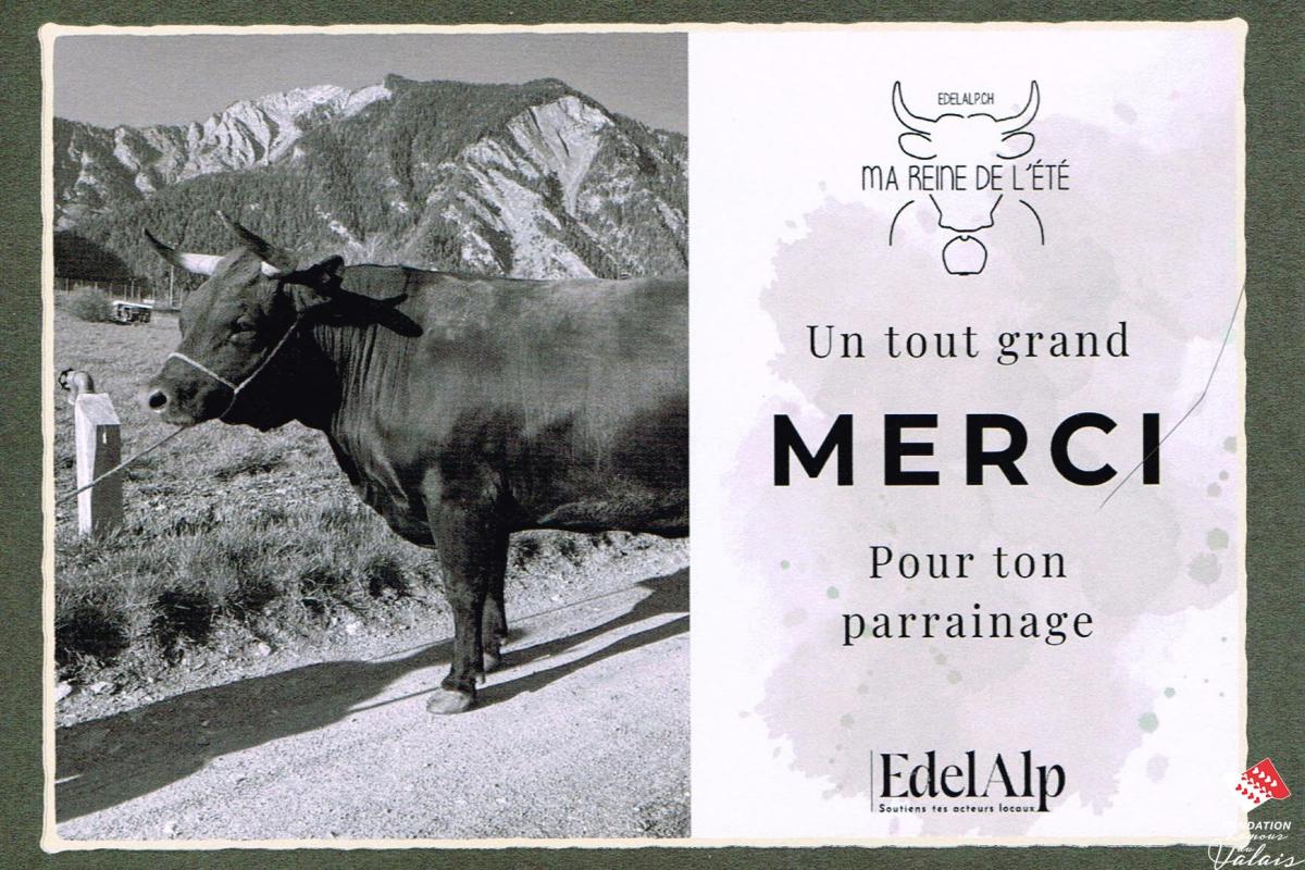 merci-04