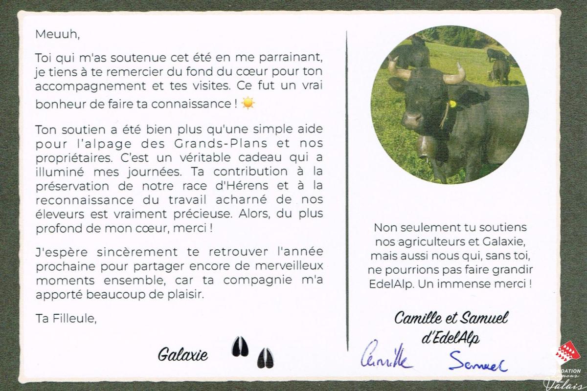 merci-05