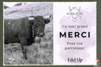 merci-01