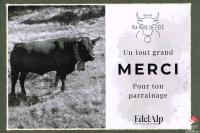 merci-02