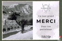 merci-04